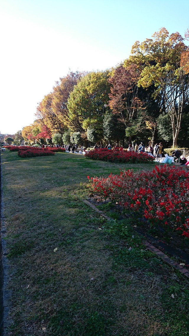 11/27 ポタリング/航空公園～柳瀬川（やまべ釣り）～多摩湖・狭山湖