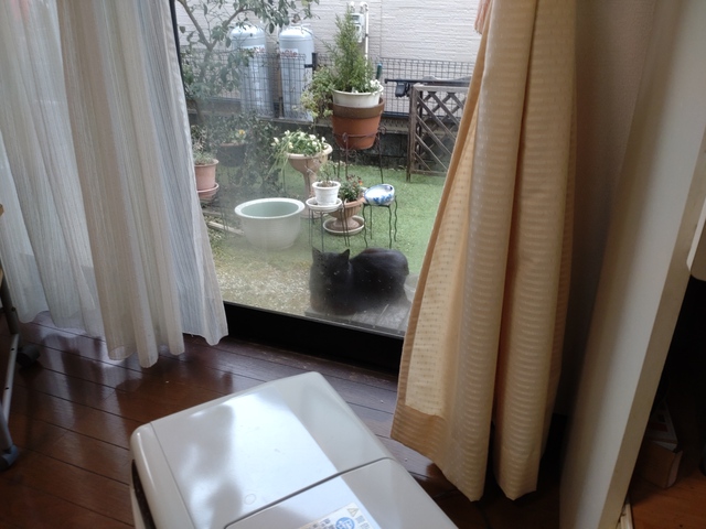2/19 雨水「二十四節気」
