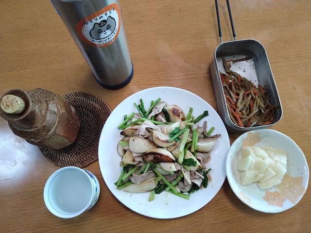 2/21 休養日