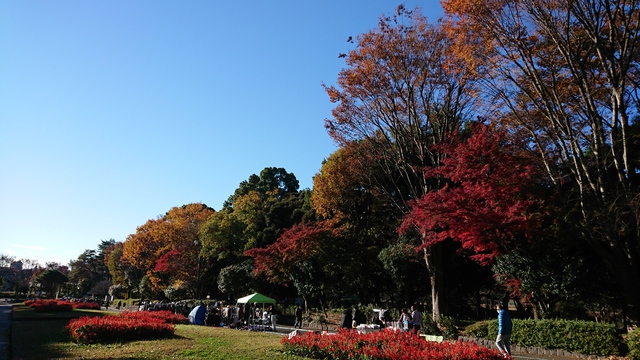 11/27 ポタリング/航空公園～柳瀬川（やまべ釣り）～多摩湖・狭山湖