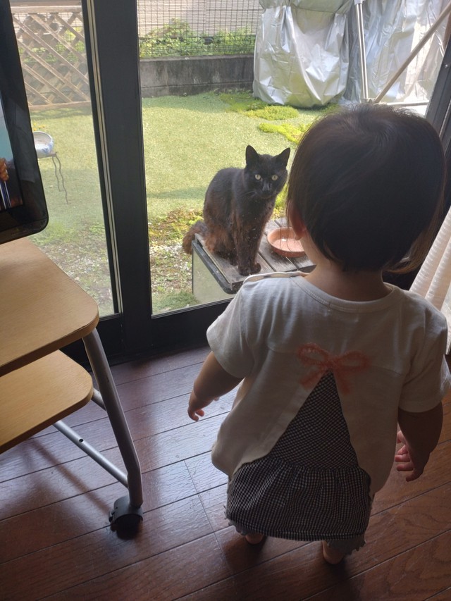 5/20 筍生ず[72候]