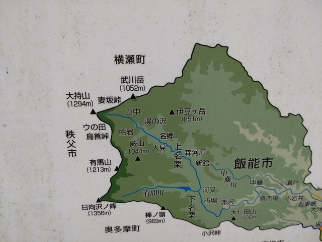 5/28 名栗川deヤマメ釣り