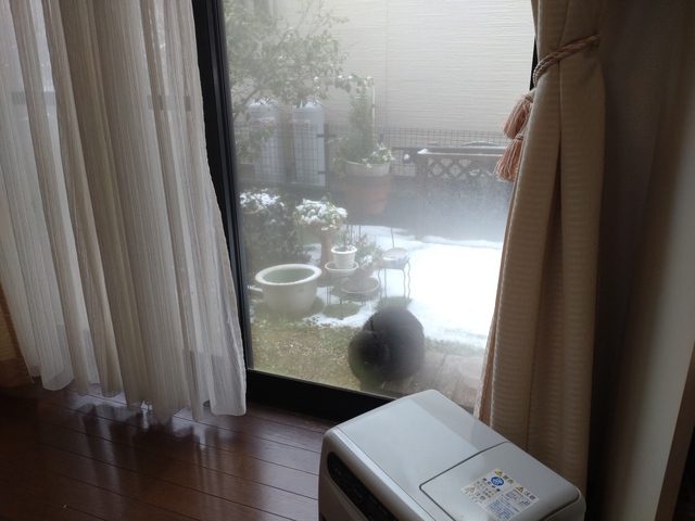 3/22 なごり雪が・・ ♪