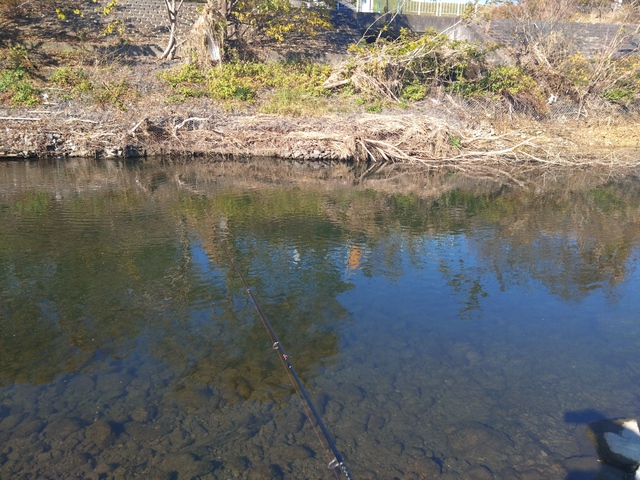 12/3 いるま川deバス釣り ⑥