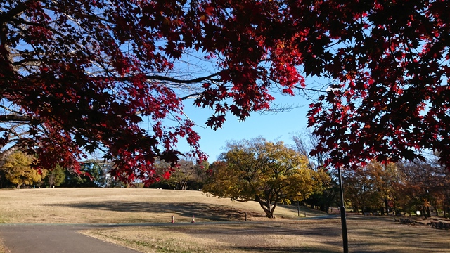 11/27 ポタリング/航空公園～柳瀬川（やまべ釣り）～多摩湖・狭山湖