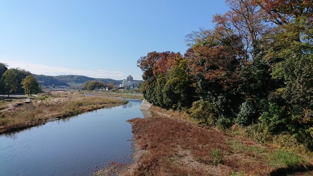 11/14　いるま川ポタリング/やまべ釣りも
