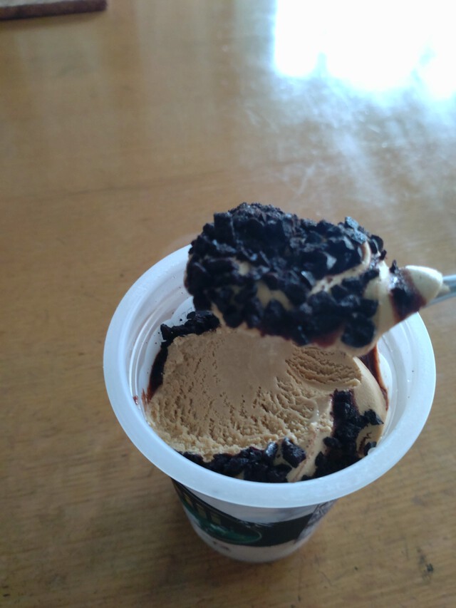 9/1 関東大震災の日（防災の日）