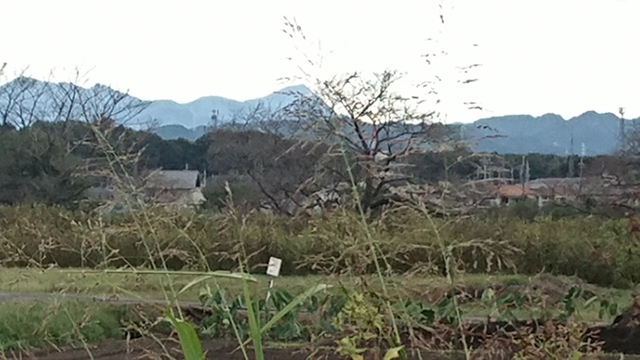 10/17 雨の日曜日/休息