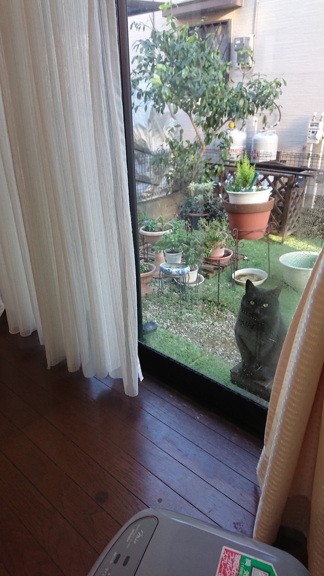 1/7 小寒「二十四節気」