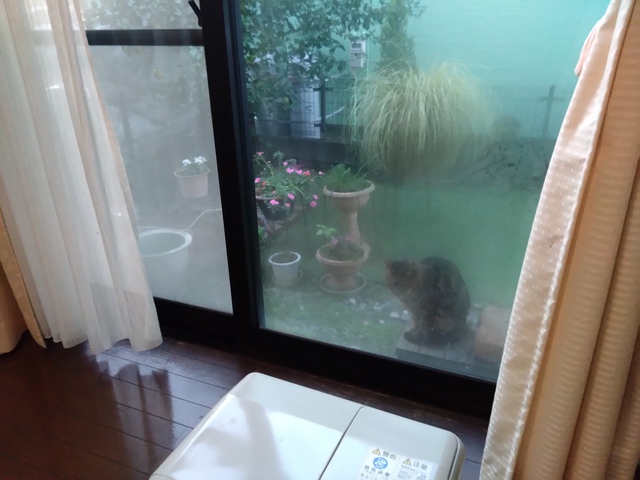11/22 虹隠れて見えず[72候]