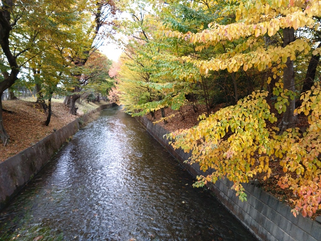 11/26 チャリde昭和記念公園