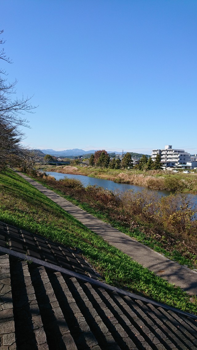 11/14　いるま川ポタリング/やまべ釣りも