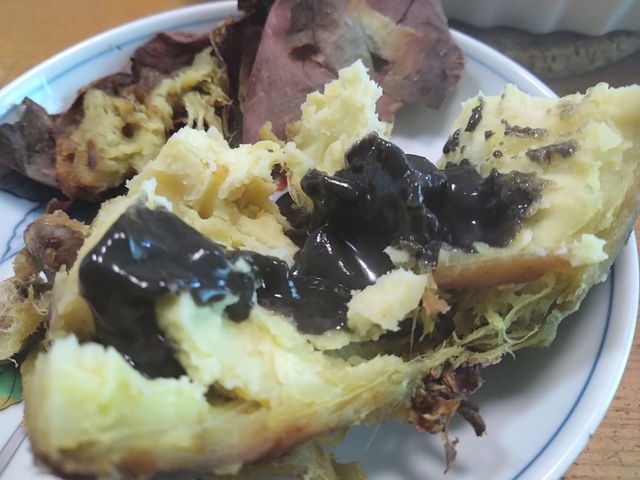11/22 虹隠れて見えず[72候]