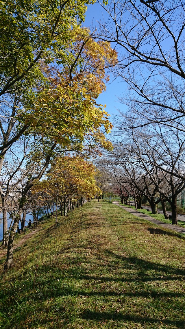 11/14　いるま川ポタリング/やまべ釣りも