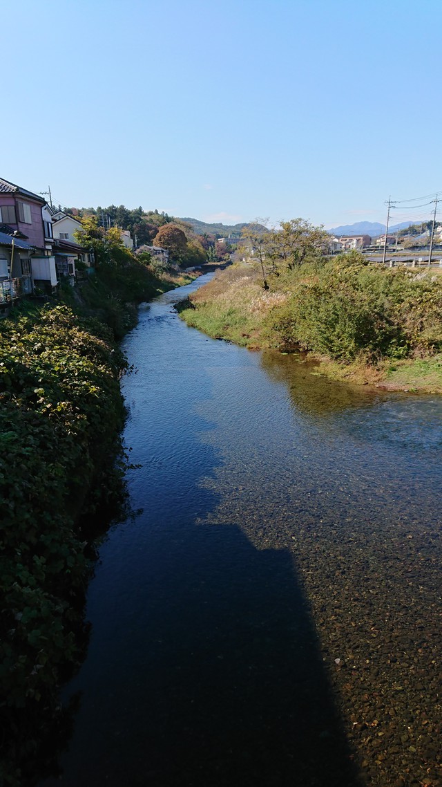 11/14　いるま川ポタリング/やまべ釣りも