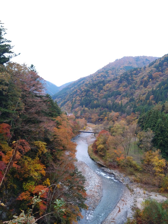 11/9 笠取山 を歩く