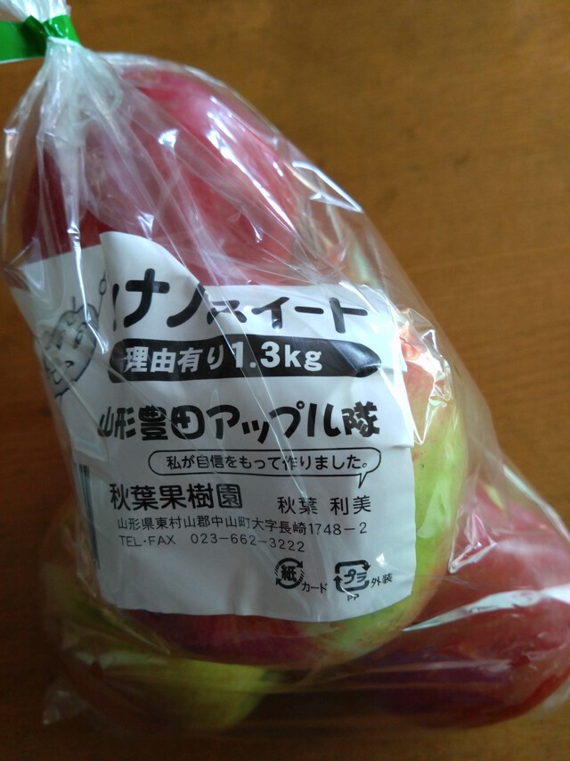 10/20 夏日となる。