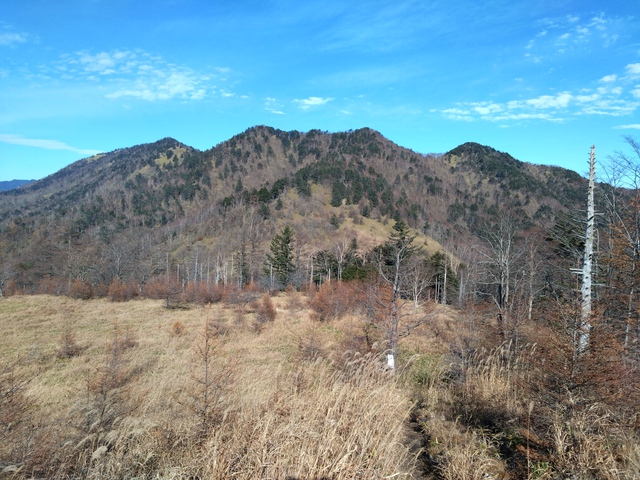 11/9 笠取山 を歩く