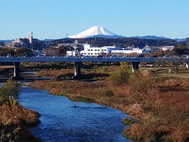 11/24 ひと月でクリスマスなのかぁ。。