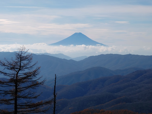 11/9 笠取山 を歩く