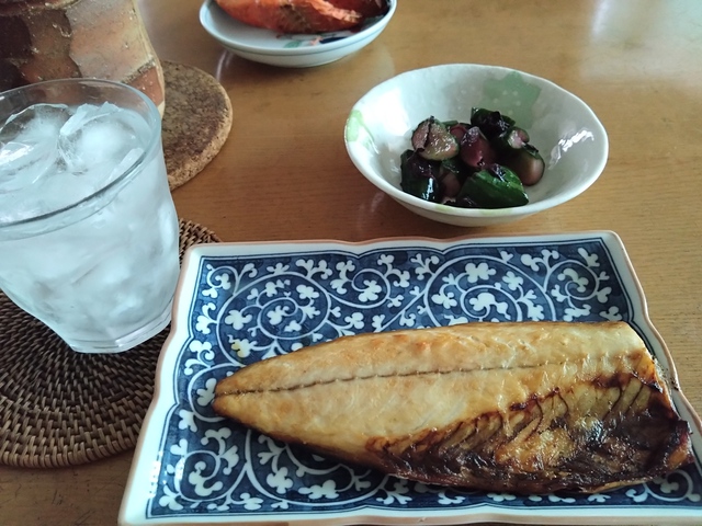 7/10 半年・・　