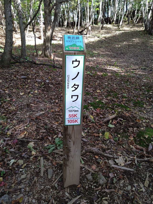 10/31 カブde大持山
