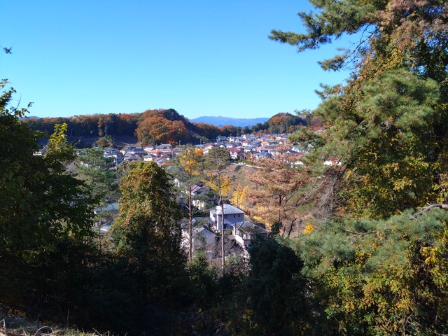 11/27 カブde天覧山