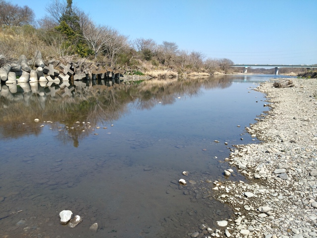 3/22 いるま川deやまべ釣り