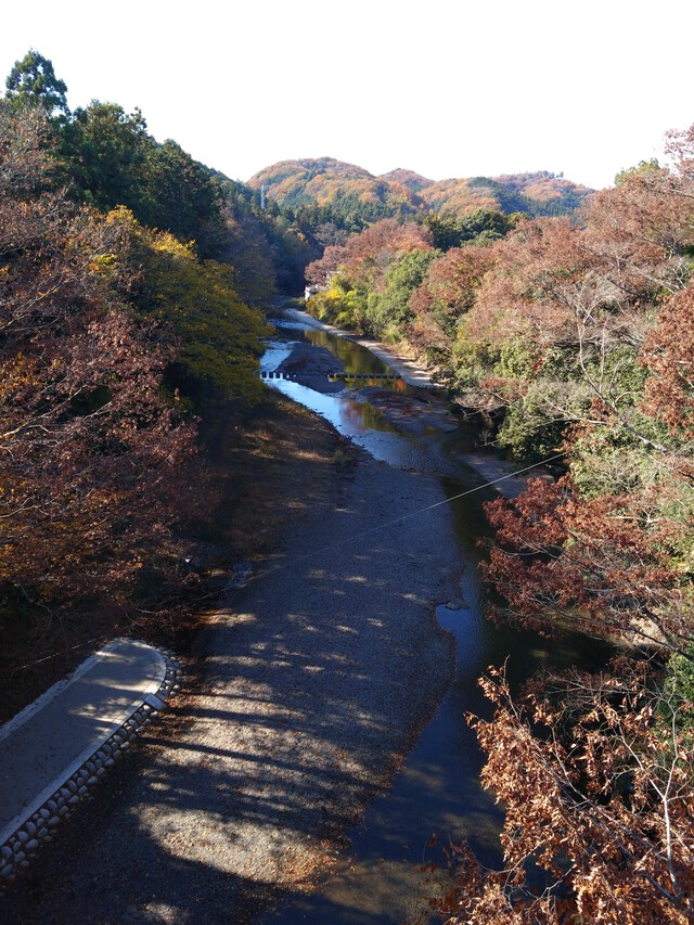 11/27 カブde天覧山