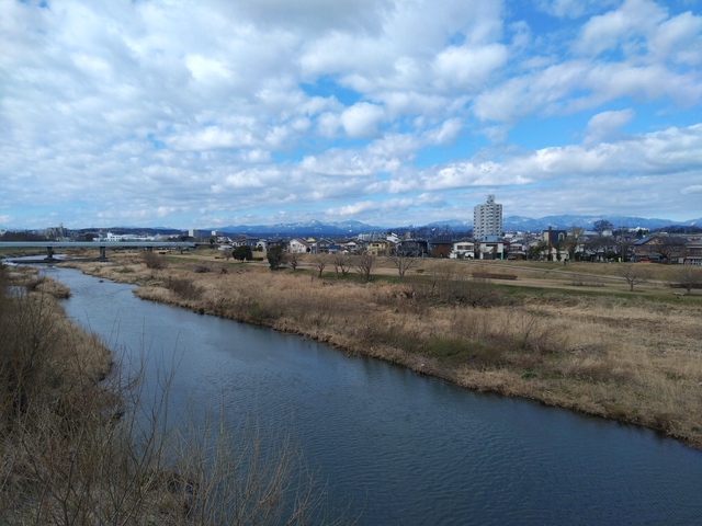 3/20 お中日