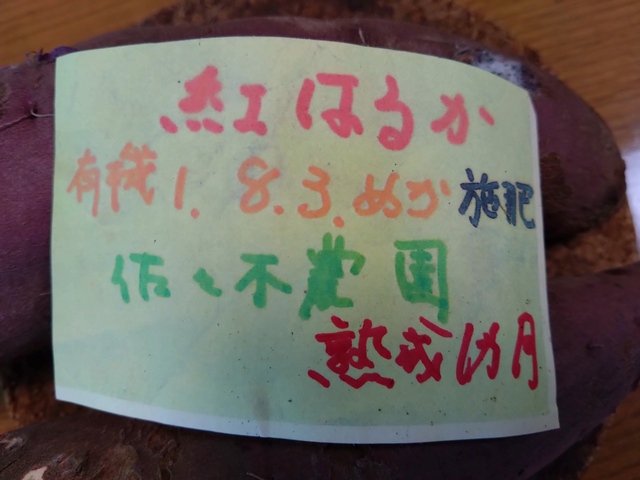 11/14 地始めて凍る[72候]