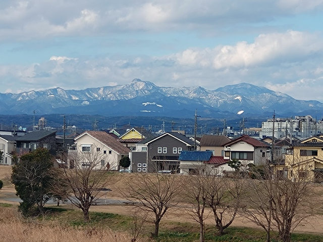 3/20 お中日
