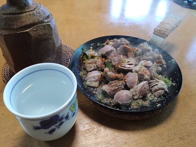 1/16 強風厳しい日