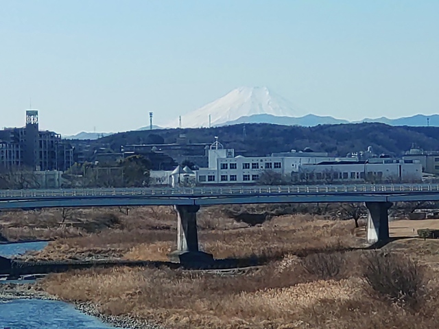 2/9 Turn 面白/難い