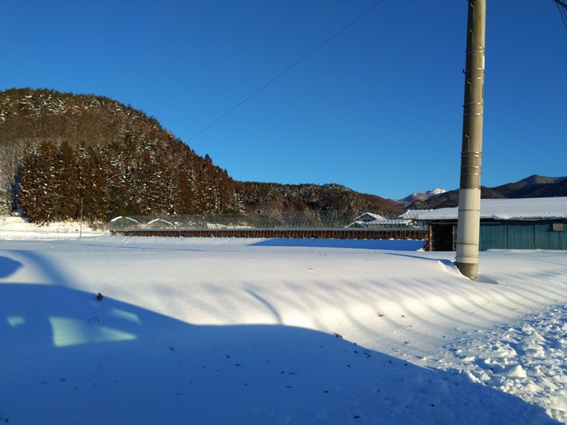 1/17 川場スキー場de孫と遊ぶ
