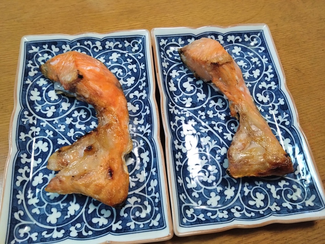 11/20 冷たい雨に・・♪