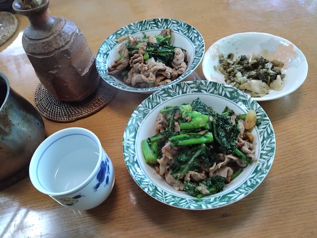 3/20 お中日