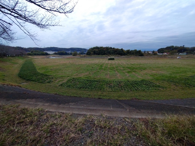 11/16 やまべ釣り連続８日目
