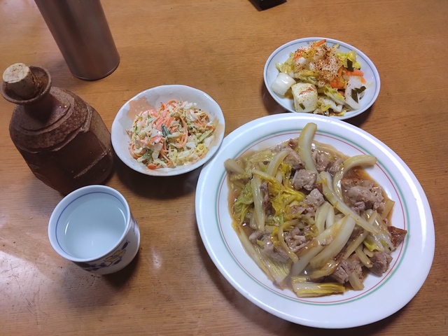 1/23 辻堂で孫と遊ぶ