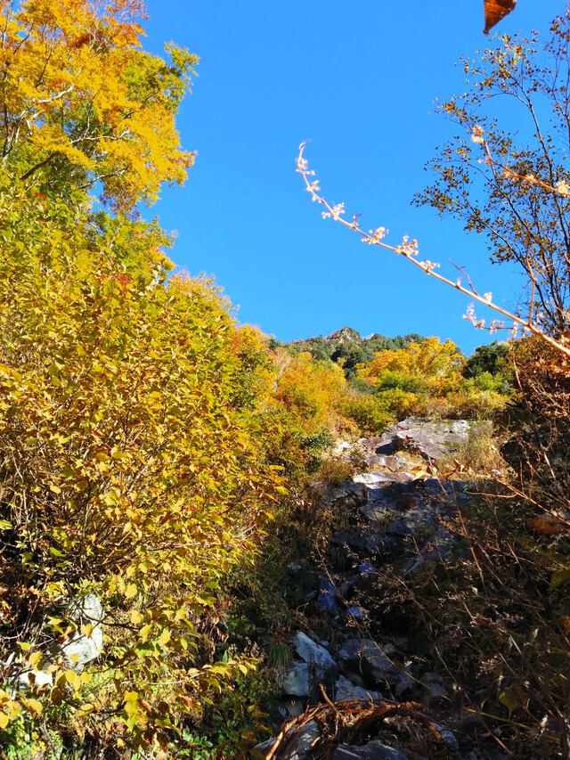 10/16-17 涸沢カールde紅葉堪能