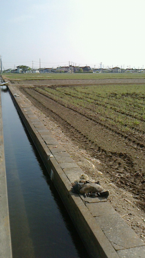 4/30 いろいろあったが4月末日