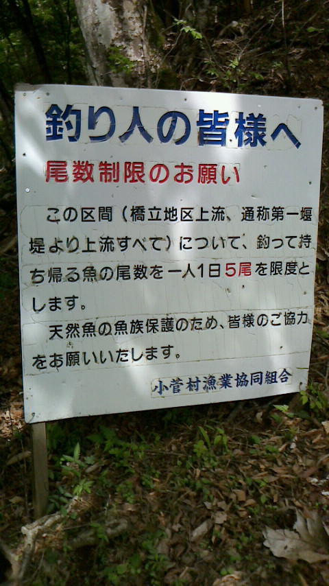 5/18 カブde小菅村