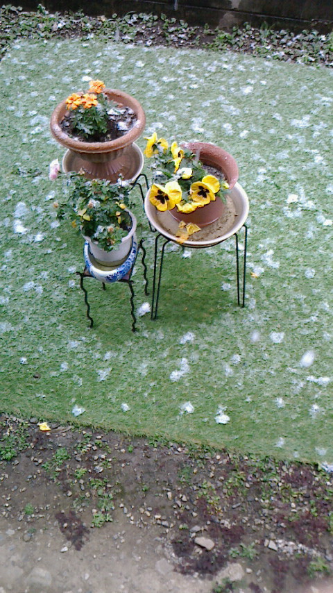 4/10 驚きの雪