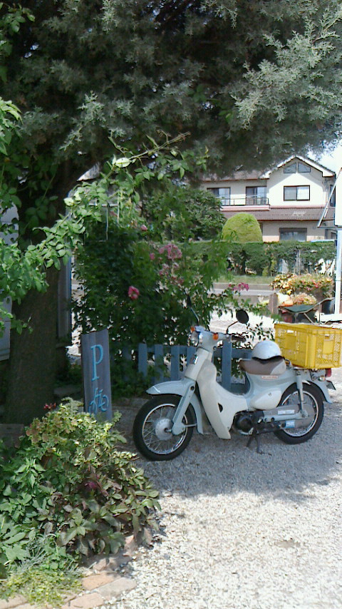 8/10 釣りしない一日は長いね