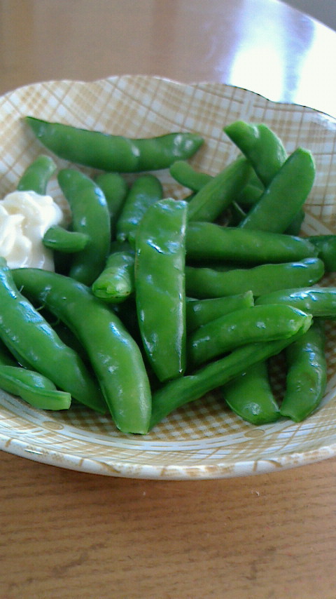 5/15 夏野菜はじまりそう・・