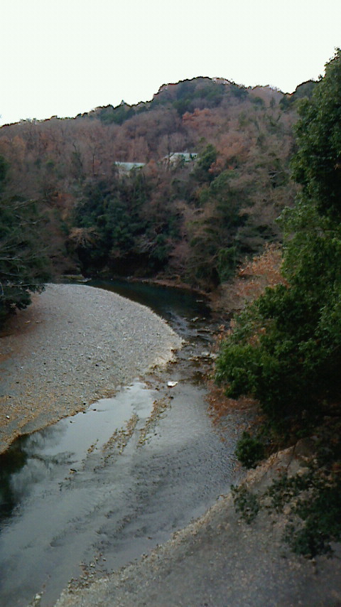 12/21 チャリdeいるま川散歩