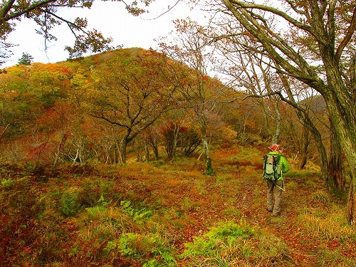 紅葉の竜ヶ岳⇒静ヶ岳を歩いてきました（その4）
