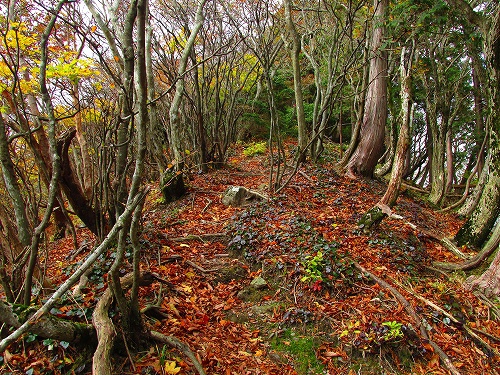 紅葉の竜ヶ岳⇒静ヶ岳を歩いてきました（その4）