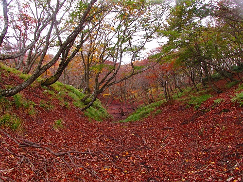 紅葉の竜ヶ岳⇒静ヶ岳を歩いてきました（その4）