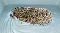 気持ちいいぃ～ 2019/06/23 12:33:33